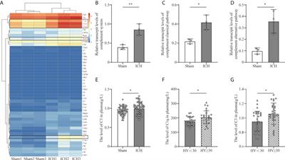 Role of complement C1q/C3-CR3 signaling in brain injury after experimental intracerebral hemorrhage and the effect of minocycline treatment